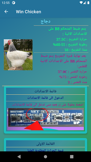 Win Chicken Screenshot 3
