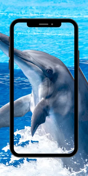 Wallpaper Dolphin Fish Screenshot 1