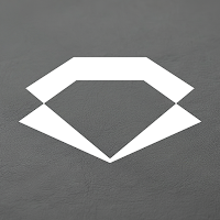 CorpLink OS