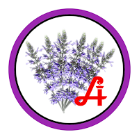 Antonius Apo
