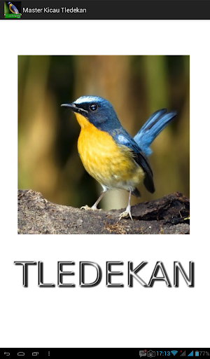 Master Kicau Tledekan/Sulingan Screenshot 0