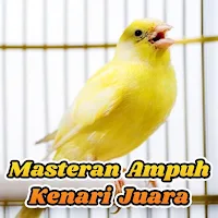 Masteran Kenari Juara