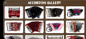 Accordion Instrument Screenshot 2