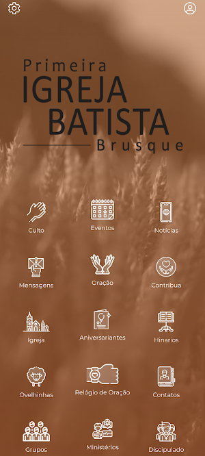 PIB Brusque Screenshot 0