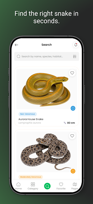 Snakes Of Eswatini Screenshot 2