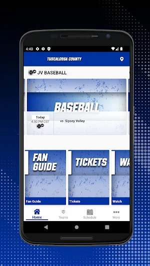 Tuscaloosa County Athletics Screenshot 0