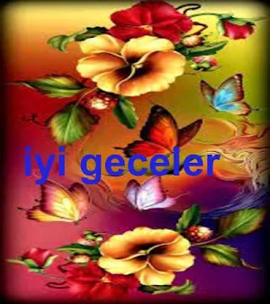 Iyi geceler Screenshot 3