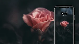 Flower Wallpapers Screenshot 3