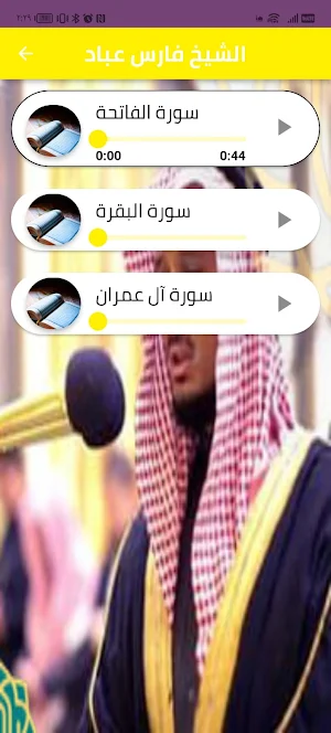 The Holy Quran is the spring Screenshot 3