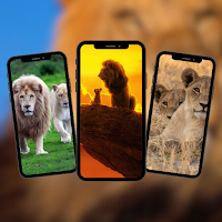 Lion Wallpapers