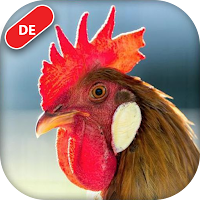 Echte Tiergeräusche