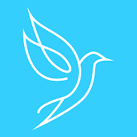 Flying Freely Traveler