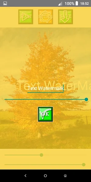 Text WaterMark Screenshot 1