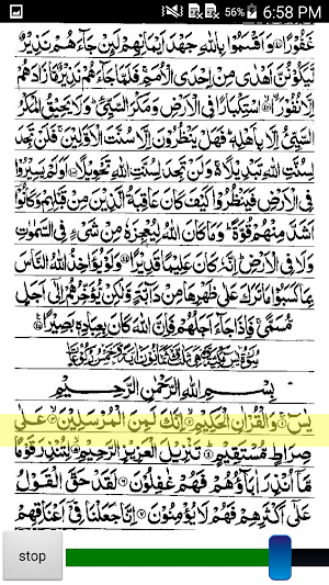 Surah Yaseen Audio Tafseer Screenshot 3