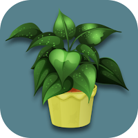 Indoor plants
