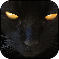 Black wallpapers