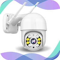 Icsee Wifi IP Camera Hint