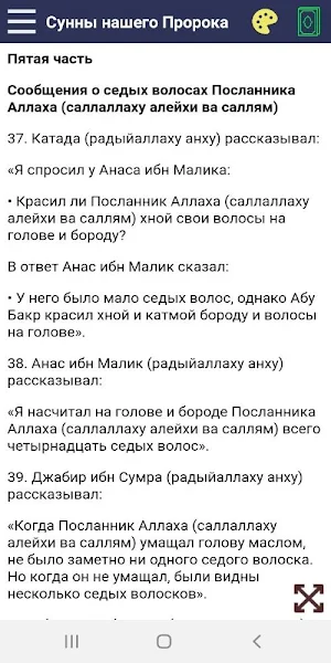 Сунны нашего Пророка Screenshot 2