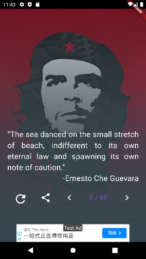 Ernesto Che Guevara Quotes Screenshot 1