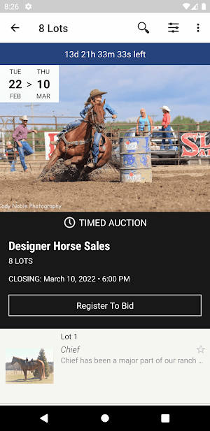 Designer Horse Sales Screenshot 1