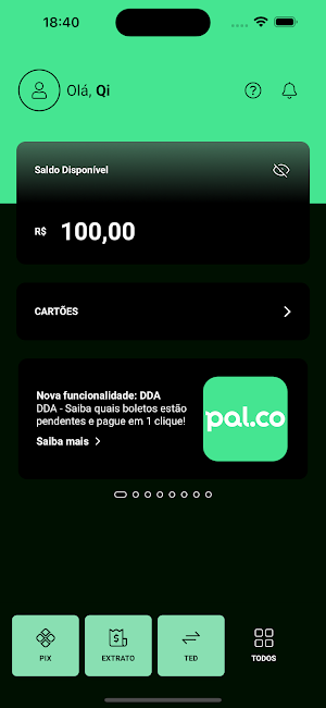 PAL.CO Screenshot 3
