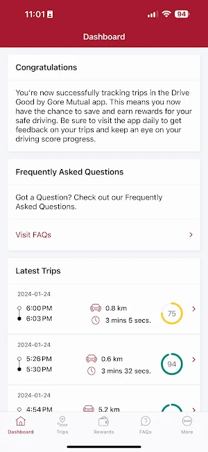 Drive Good Screenshot 1