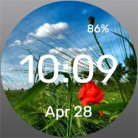 Lonely Poppy - Watch Face