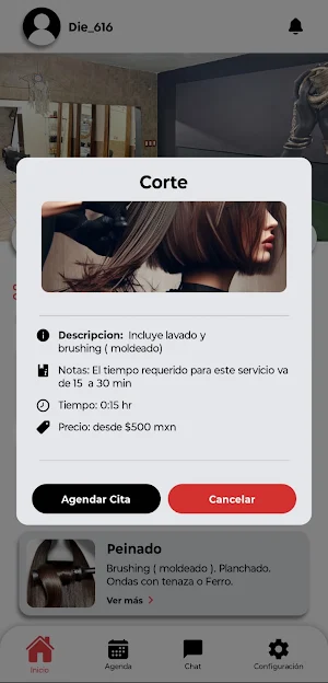 VictorRamirezSalon Screenshot 1