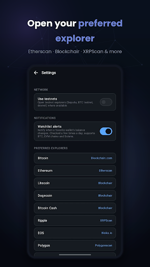Blockchain Explorer Screenshot 2
