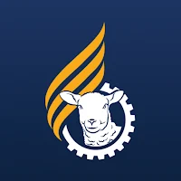 Lamb Business