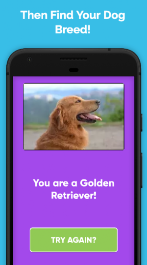 What Type Of Dog Are You? Screenshot 1