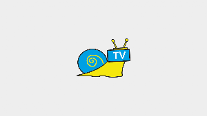 Ravlyk TV  - ukrainian tv Screenshot 2