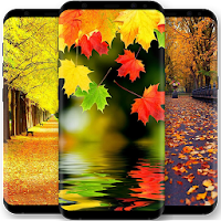 Autumn Wallpaper