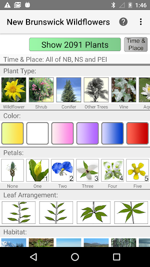 New Brunswick Wildflowers Screenshot 0