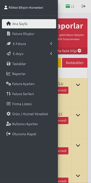 RSNet E-Fatura Screenshot 1