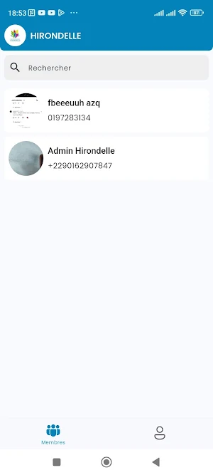 Hirondelle Screenshot 1
