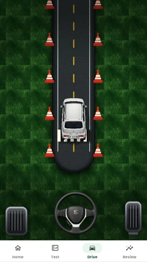 E-Sign Driving Test Screenshot 0