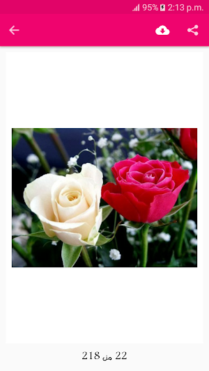 صور وخلفيات ورد رائعة بدون نت Screenshot 1