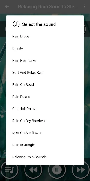 Rain Sound Relaxation / Ultimate Stress Relief Screenshot 1