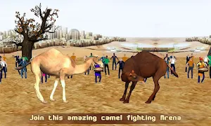 Camel Champion Fighting: Angry Camel Ring Fighter Screenshot 0