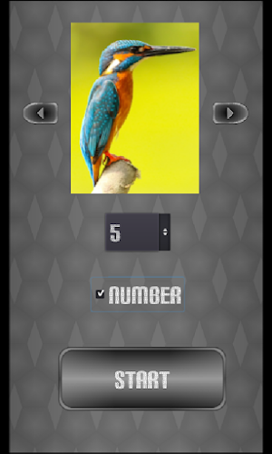 slide puzzle birds Screenshot 0
