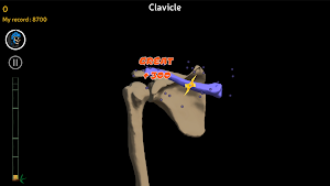 Anatomy Ninja Upper Limb Screenshot 1
