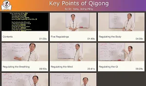 Qigong Keypoints Video Lesson Screenshot 2