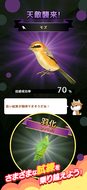 虫育成ゲーム むしいく3 Screenshot 2