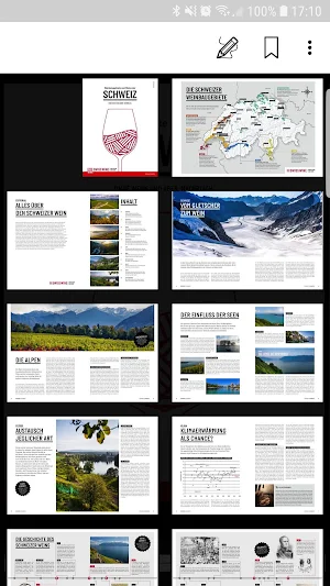 Swiss Wine Screenshot 2