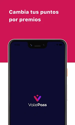 Valepass Screenshot 0