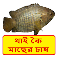 থাই কৈ মাছের চাষের পদ্ধতি