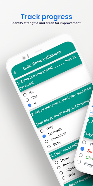 Grammar Pro: Basics & Tests Screenshot 1