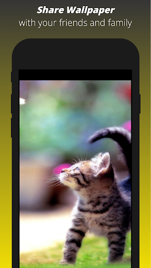 Cat Wallpaper HD Screenshot 1