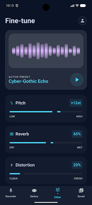 Voiceify Screenshot 2